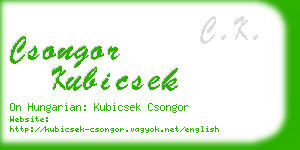 csongor kubicsek business card